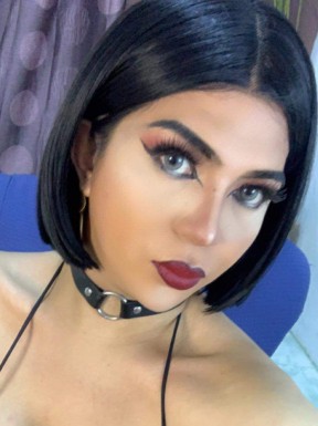 Thai ladyboys for dating / Ladyboys from Philippines for dating