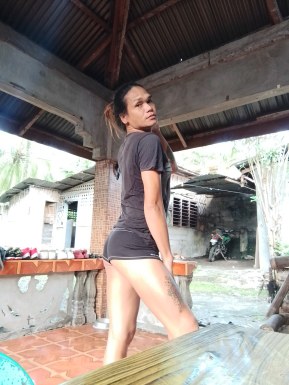 Thai ladyboys for dating / Ladyboys from Philippines for dating