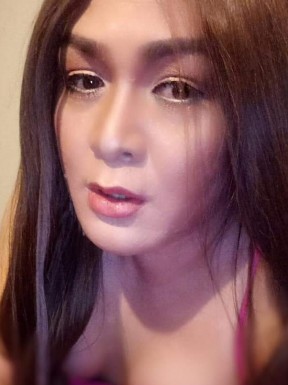 Thai ladyboys for dating / Ladyboys from Philippines for dating