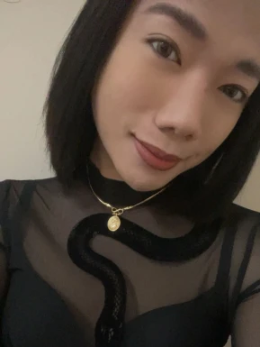 Thai ladyboys for dating / Ladyboys from Philippines for dating