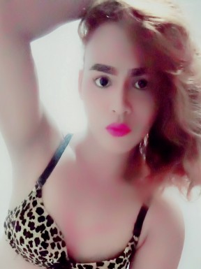 Thai ladyboys for dating / Ladyboys from Philippines for dating