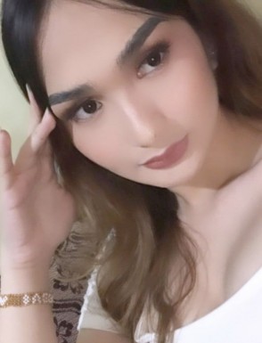 Thai ladyboys for dating / Ladyboys from Philippines for dating